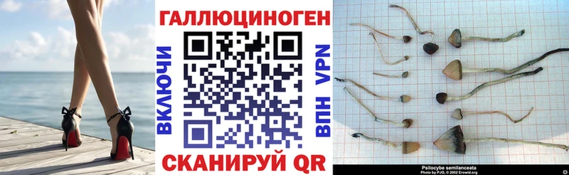 Псилоцибиновые грибы мицелий  Реутов 